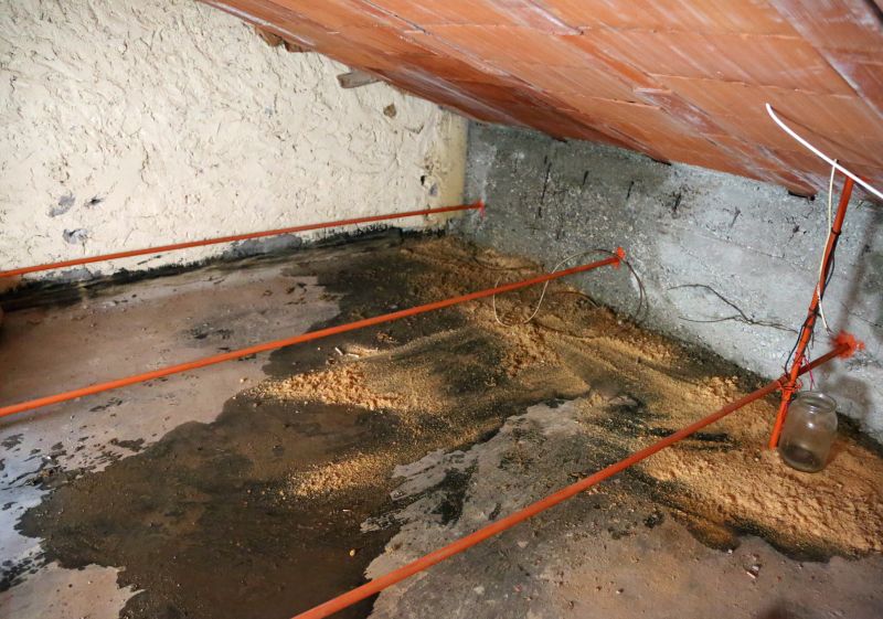 Ceiling Leak Repair Service in Denver, CO