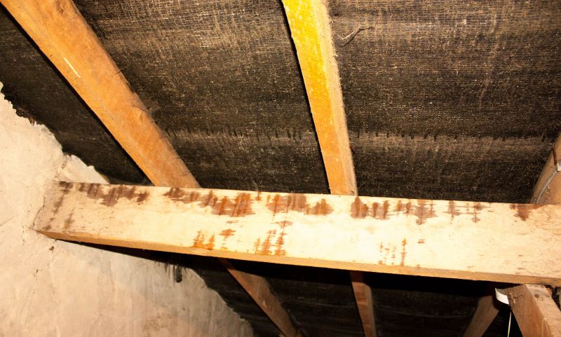Ceiling Leak Repair Service in Denver, CO