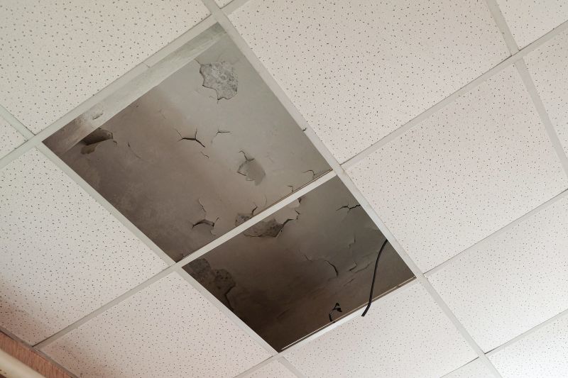 Ceiling Leak Repair Service in Santa Rosa, CA