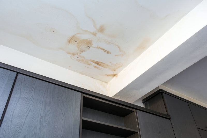 Crawl Space Remediation in Denver, CO